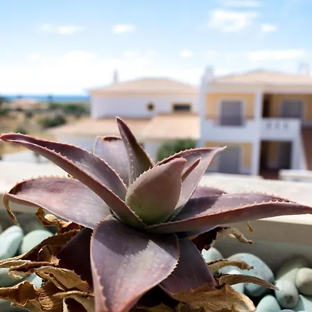 Apartamento Beija-Flor